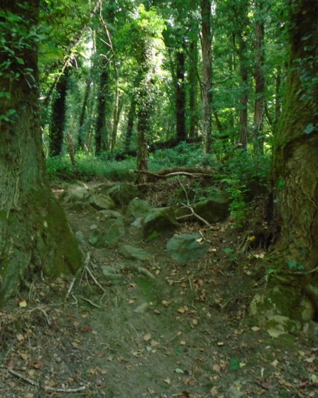 Roches en travers du chemin